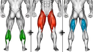 quotDo These To train Your All LEG MusclesThe Leg Dayquot [upl. by Airemahs]