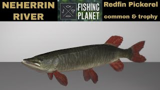 Fishing Planet Neherrin River Redfin Pickerel Common amp Trophy [upl. by Hairem59]