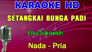 SETANGKAI BUNGA PADI  Elvy Sukaesih  KARAOKE Nada Pria [upl. by Ashwell]