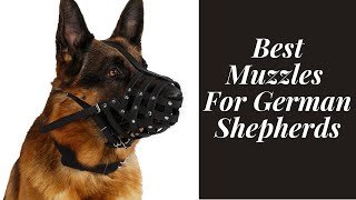 Best Muzzles For German Shepherds in 2020 [upl. by Luedtke]