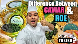 Whats the Difference between Caviar amp Roe  Tobiko kisi kehte hai [upl. by Swanson]