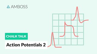 Action Potentials  Part 2 Neuronal Action Potentials [upl. by Nylinej]