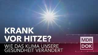 70000 TODESFÄLLE DURCH HITZE  Der Klimawandel kostet uns unsere Gesundheit  MDR DOK [upl. by Averell]