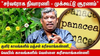 CURES EVERYTHING  PANACEA  ONE REMEDY FOR ALL DISEASES  சர்வரோக நிவாரணி  முக்கூட்டு சூரணம் TIPS [upl. by Reinold]