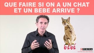 Que faire si on a un chat et un bébé arrive [upl. by Anat]