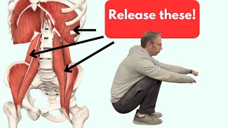 Releasing the Psoas and QL quadratus lumborum With One Exercise [upl. by Asta667]