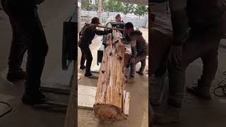 Loading process of agarwood [upl. by Kreager]