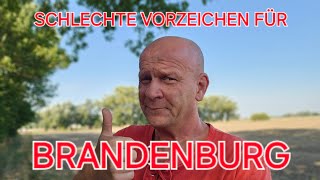 GRÜNES JAMMERTAL UND HOFFNUNG IN BRANDENBURG 👍 [upl. by Mazel332]