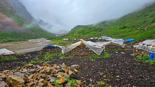 Organic Himalayan Village Life Ep3 Nepal DolpaCooking Noodles And Eating Himalayan Yak shelter [upl. by Rhodie]