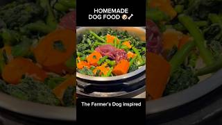 HOMEMADE DOG FOOD 🐶  The Farmer’s Dog dogfood doglover healthydogfood [upl. by Ware720]