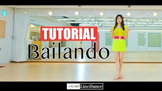 토요강사동호회 Bailando LineDance  초급라인댄스  바일란도 라인댄스  스텝설명 챔프라인댄스  010 8833 4921  강남라인댄스 [upl. by Zsamot]