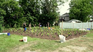 Reportage  Une microforêt à Lachute [upl. by Ltney]