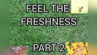 FEEL THE FRESHNESS PART 2  MAY 2021  REFRESH YOUR SELF  FLOWERS PICTURES  SHADES OF 🌳 TREES [upl. by Eberhard]