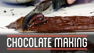 Chocolate Making from Scratch  How to Make Everything Chocolate Bar [upl. by Manuela]