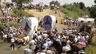 La Romería del Rocío camino a la Aldea Almonte Huelva [upl. by Creight]