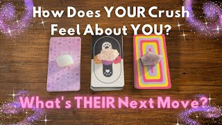 How Does Your Crush Feel About YOU All About YOUR CRUSH 😍💭💞 InDepth Timeless Tarot Reading [upl. by Nerek]