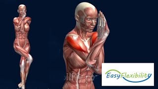 How to Eagle Pose Garudasana Yoga Muscle Anatomy EasyFlexiiblity [upl. by Ecinue]