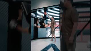 Beautiful Destruction kicking boxing spinningbackkick ufc kickpractice martialartstechnique [upl. by Fransen]