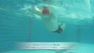 少し泳げる様になった7 毎日バタフライ時々クロール ti swim [upl. by Elleon]