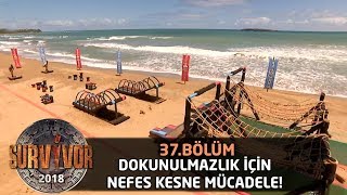 Dokunulmazlık için nefes kesen mücadele 37Bölüm  Survivor 2018 [upl. by Wengert]