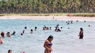 PRAIA DE MARACAIPE IPOJUCA PE NORDESTE DO BRASIL [upl. by Weitzman180]