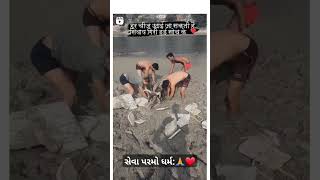 સેવા પરમો ધર્મvideo motivation animalllover trending gaumata trendingshorts trendingvideo🙏 [upl. by Acirrehs780]