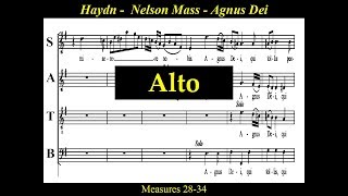 Haydn  Alto  Nelson Mass  6A  Agnus Dei [upl. by Hgielra890]