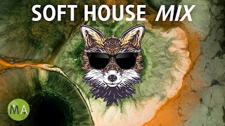 Peak Focus Soft House Study Music with Beta Isochronic Tones  Fox Mix [upl. by Koerner979]