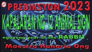 PREDIKSYON 2023 ALAMIN ANG KAPALARAN NG 12 ANIMAL SIGN NGAYONG TAON NG WATER RABBIT Y1 Y [upl. by Laumas]