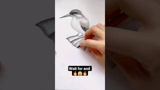 Easy Kingfisher Drawing😱🔥😱 howtodraw viralvideo drawing easydrawing youtubeshorts viralvideo [upl. by Ania]