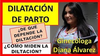 DILATACION DE PARTO POR GINECOLOGA DIANA ALVAREZ [upl. by Norel429]