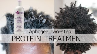 Aphogee 2 Step Protein Treatment  Heat Damaged 4c Natural Hair [upl. by Sesylu135]