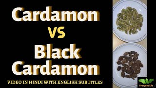 Cardamom Vs Black Cardamom  Elaichii Vs Badi Elaichi  इलायची Vs बड़ी इलायची  Everyday Life 219 [upl. by Donatelli]