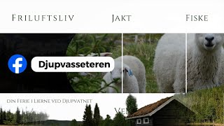 Djupvasseteren [upl. by Wilhelm]