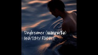 Daydreamer แอบหวัง  ANATOMY RABBIT ThaiRomEng Lyrics [upl. by Yursa]