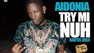 Aidonia  Try Mi Nuh [upl. by Anial]