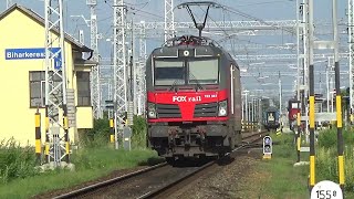 Trains in Biharkeresztes Station 01072024 [upl. by Hpsoj901]