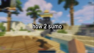 how 2 sumo tutorial [upl. by Duncan985]