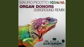 Iguana Organ Donors Subground Rework [upl. by Releehw]