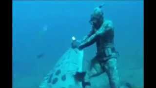 Giant Goliath Grouper Attacks Diver who is Spearfishing [upl. by Aratnahs]