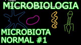 Aula Microbiologia Médica 2  Microbiota Normal 1 [upl. by Inalem]