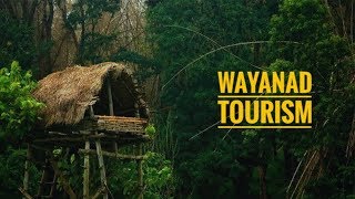 Wayanad tourism  Documentary  Tourist attractions and stories [upl. by Aohk]