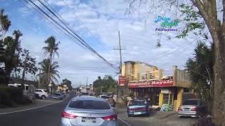 Drive Trip Philippines  Tagaytay The Original Buko Pie  Baked Coconut Pie [upl. by Ailisec]