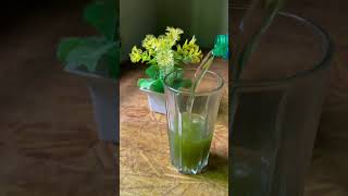 Mint lime soda🥤mintlime limejuice mint drink trending ytshorts [upl. by Kifar172]