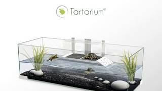 Tartarium by Ciano [upl. by Epilef]