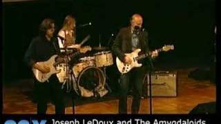 Joseph LeDoux and The Amygdaloids at 92nd Street Y [upl. by Euqinahs]