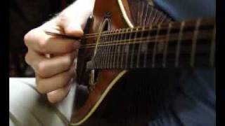 How to hold the mandolin and plectrum  by Ralf Leenen [upl. by Eatnahc]