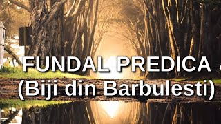 Fundal Predica  Biji din Barbulesti Foarte Frumos [upl. by Akerue]