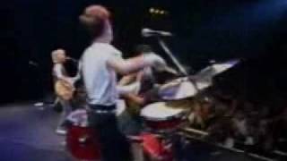 Stray Cats  Summertime Blues Live In Tokyo [upl. by Edlyn]