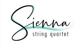 Invisible String Taylor Swift  Sienna String Quartet [upl. by Piegari]